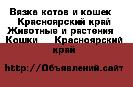 Вязка котов и кошек - Красноярский край Животные и растения » Кошки   . Красноярский край